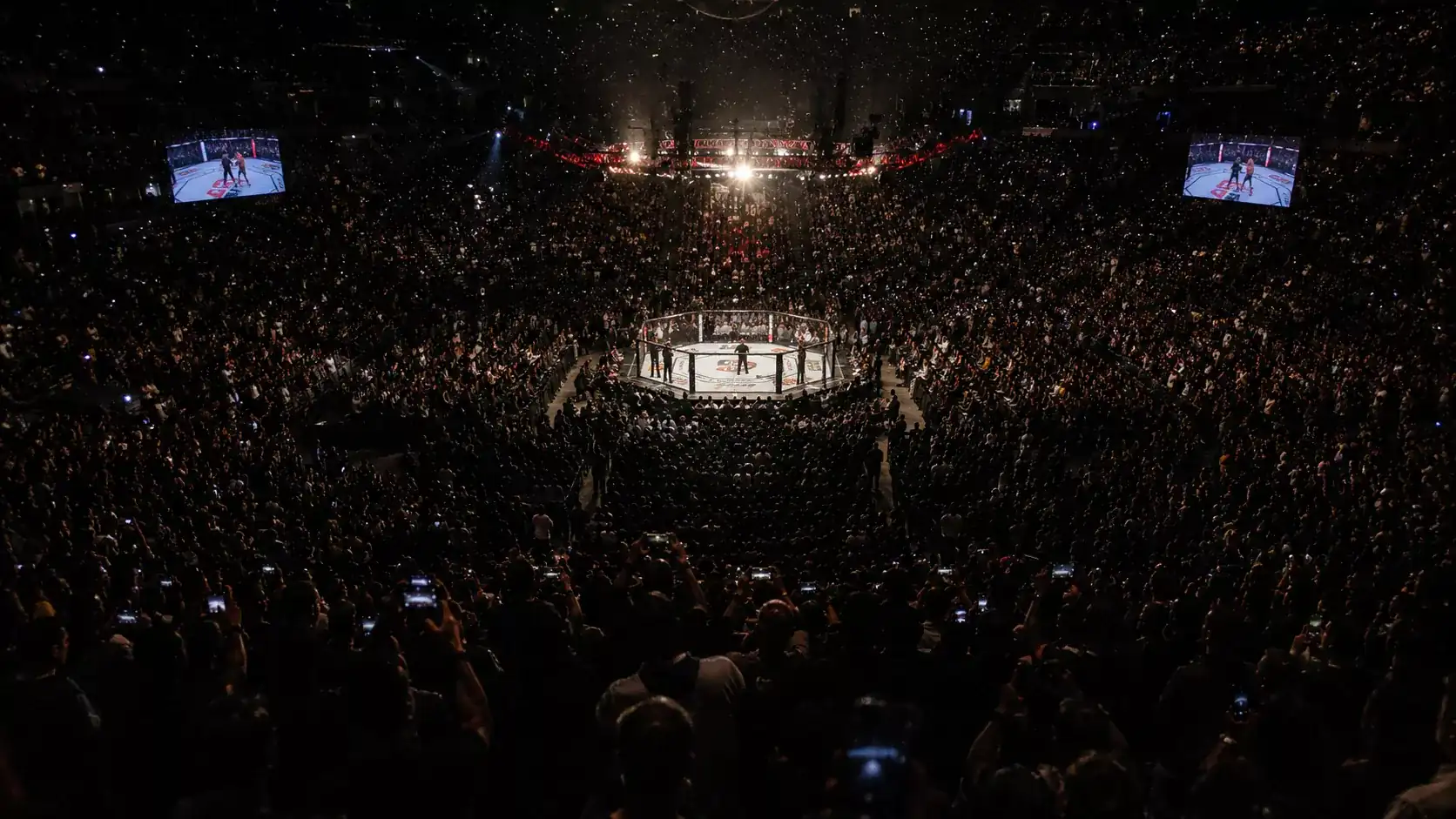 MMA betting market growth showing UFC event arena with live odds displays